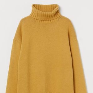 H&M Turtleneck Sweater
